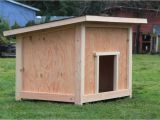 Plans for Building A Dog House Free Large Dog House Plans Awesome Dog House Plans