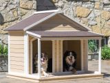 Plans for Building A Dog House Large Double Dog House Plans Home Deco Plans