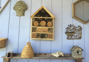 Plans for Building A Mason Bee House Diy Mason Bee House Plans House Design Plans Plans for Building A Mason Bee House Diy Mason Bee House Plans House Design Plans