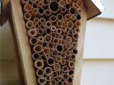 Plans for Building A Mason Bee House Free Mason Bee House Plans