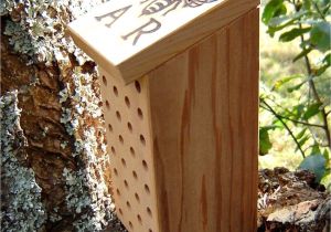Plans for Building A Mason Bee House Green Steps Building A Mason Bee House Three Hundred