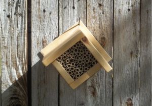 Plans for Building A Mason Bee House Guies Access orchard Mason Bee House Plans
