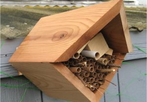 Plans for Building A Mason Bee House Mason Bee Nest Plans Plans for Building A Mason Bee House Mason Bee Nest Plans