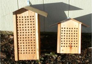 Plans for Building A Mason Bee House Mason Bee Nest Plans