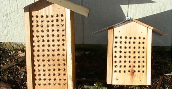 Plans for Building A Mason Bee House Mason Bee Nest Plans