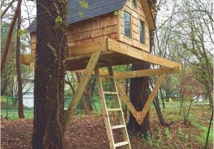 Plans for Building A Tree House 40 Fancy Treehouses and Playhouses