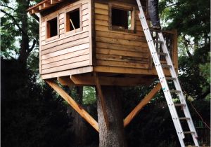Plans for Building A Tree House 9 Diy Tree Houses with Free Plans to Excite Your Kids