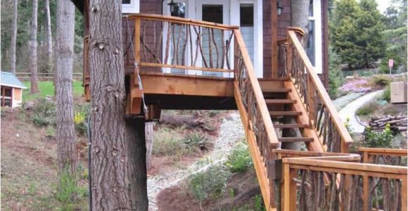 Plans for Building A Tree House How to Build A Treehouse In the Backyard