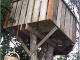 Plans for Building A Tree House How to Build A Treehouse