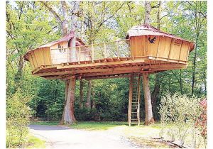 Plans for Building A Tree House Luxury Plans for Building A Tree House New Home Plans Design