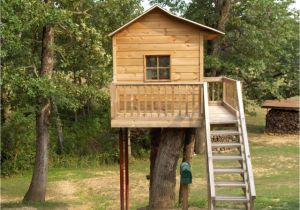 Plans for Building A Tree House Simple Tree House Design Plans Easy to Build Tree House