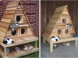 Plans for Cat House 10 Amazing Cat Structures Neatorama
