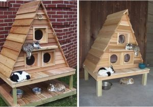 Plans for Cat House 10 Amazing Cat Structures Neatorama