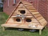 Plans for Cat House Outdoor Cat House Design Home Photo Style