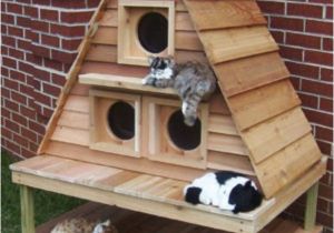 Plans for Cat House Outdoor Cat House Outdoor Cat House Building Plans