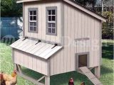 Plans for Chicken Coops Hen Houses 5 39 X6 39 Modern Style Chicken House Coop Plans 90506m Ebay