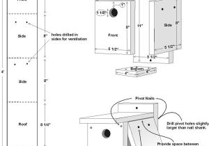 Purple Martin House Plans Hole Size Make A Purple Martin Gourd Birdhouse Birds and Blooms
