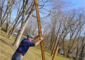 Purple Martin House Pole Plans Growing In Grace Purple Martin House On Swivel Pole