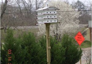 Purple Martin House Pole Plans Purple Martin House and Pole with Hoist by Roz