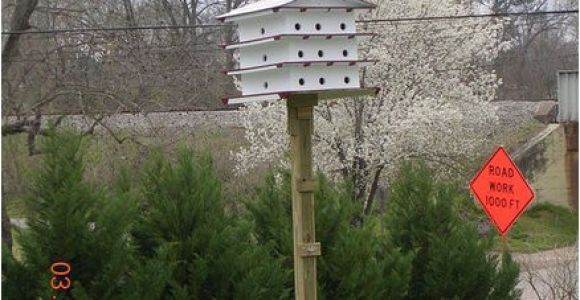 Purple Martin House Pole Plans Purple Martin House and Pole with Hoist by Roz