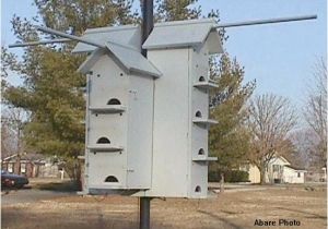 Purple Martin House Pole Plans Purple Martin Housing