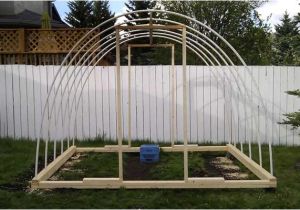 Pvc Hoop House Plans Pdf Homemade Pvc Greenhouse Plans Homemade Ftempo Pvc Hoop House Plans Pdf Homemade Pvc Greenhouse Plans Homemade Ftempo