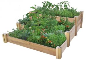 Raised Garden Bed Plans Home Depot Gronomics 48 In X 50 In X 19 In Multi Level Rustic