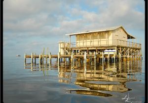 River House Plans On Stilts Stilt Homes On the Gulf Of Mexico Pictures River House On