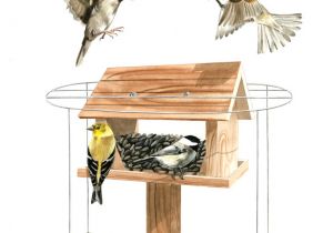 Sparrow Bird House Plans Pdf Plans Bird House Plans Sparrow Download Wooden Garden