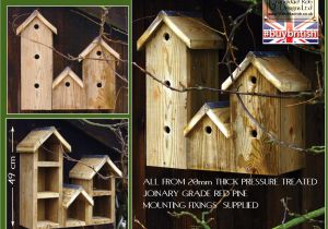 Sparrow Bird House Plans Sparrow Row Bird Box Birdbx Spar Bird Boxes by Granddad