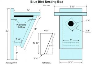 Sparrow Resistant Bluebird House Plans Bluebird House Plans Simplir Me