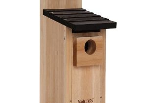 Sparrow Resistant Bluebird House Plans Coveside 10044 Sparrow Resistant Bluebird House