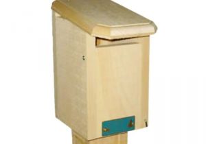 Sparrow Resistant Bluebird House Plans Sparrow Resistant Bluebird House