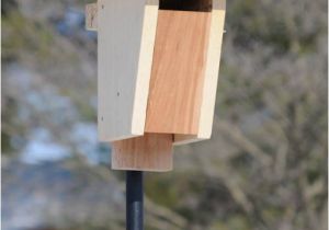 Sparrow Resistant Bluebird House Plans Sparrow Resistant Bluebird Slot Box Bluebird Conservation