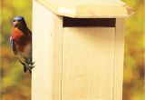 Sparrow Resistant Bluebird House Plans Sparrow Resistant House