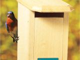 Sparrow Resistant Bluebird House Plans Sparrow Resistant House