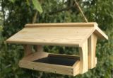 Squirrel Proof Bird House Plans Bird Feeder Plans Squirrel Proof Wartosciowestrony top
