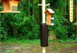 Squirrel Proof Bird House Plans Bird Feeders Squirrel Proof Bird Feeders Pinterest