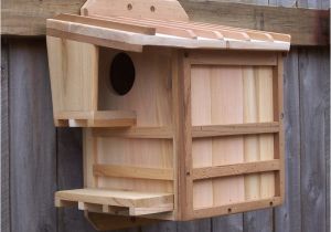 Squirrel Proof Bird House Plans Squirrel House Plans Free