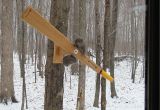 Squirrel Proof Bird House Plans Wooden Squirrel Proof Bird Feeder Plans Plans Diy Free