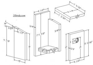Swallow Bird House Plans Stunning Tree Swallow House Plans New Home Plans Design