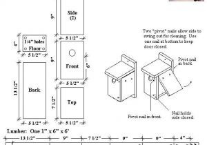Swallow Bird House Plans Tree Swallow Bird House Plan Birdhouses Pinterest