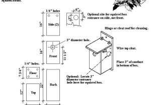 Swallow Bird House Plans Tree Swallow Birdhouse Plans