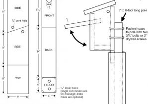 Swallow Bird House Plans Tree Swallow Birdhouse Plans