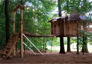 Swing Set Tree House Plans Tree House Plans with Swing Set