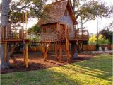 Swing Set Tree House Plans Tree House Swing Set Plans Architectural Designs