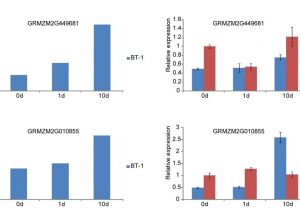 Take It Home today Major Purchase Plan 30 Ft Wide House Plans Unique 16 Feet Wide House Plans