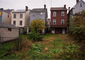 Take It Home today Major Purchase Plan Take It Home today Major Purchase Plan Best Of Riding Od