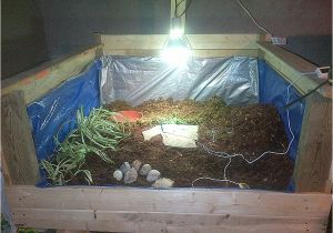 Tortoise House Plans House Plans tortoise House Plans Inspirational 40 Quot Lx40