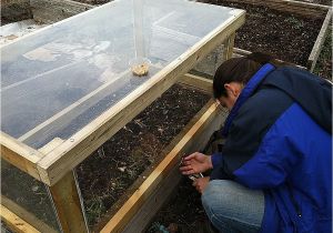 Tortoise House Plans House Plans tortoise House Plans New Green House Plans